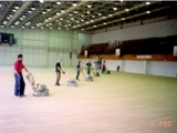 Sala gimnastyczna Uniwersytetu Zielonogórskiego w 1999 roku. Zdjęcie nr: 1