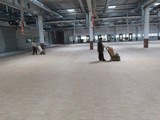 Podłogi drewniane w nowej hali firmy Hearing. Realizacja w Piotrkowie Trybunalskim. Zdjęcie nr: 32