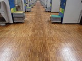 Podłogi drewniane w nowej hali firmy Hearing. Realizacja w Piotrkowie Trybunalskim. Zdjęcie nr: 3