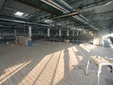 Podłogi drewniane w nowej hali firmy Hearing. Realizacja w Piotrkowie Trybunalskim. Zdjęcie nr: 124