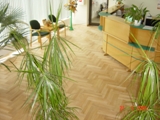 Podłogi drewniane w sekretariacie firmy Barlinek S.A. Zdjęcie nr: 8
