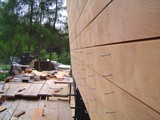 Taras drewniany i elewacja drewniana. Realizacja w Rybniku. Zdjęcie nr: 28