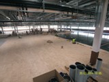 Podłogi drewniane w nowej hali firmy Hearing. Realizacja w Piotrkowie Trybunalskim. Zdjęcie nr: 48