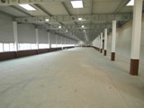 Frezowanie betonu w nowej hali firmy Hearing. Realizacja w Piotrkowie Trybunalskim. Zdjęcie nr: 146