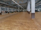 Podłogi drewniane w nowej hali firmy Hearing. Realizacja w Piotrkowie Trybunalskim. Zdjęcie nr: 19