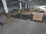 Podłogi drewniane w nowej hali firmy Hearing. Realizacja w Piotrkowie Trybunalskim. Zdjęcie nr: 115