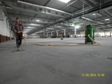 Podłogi drewniane w nowej hali firmy Hearing. Realizacja w Piotrkowie Trybunalskim. Zdjęcie nr: 62