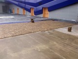 Podłogi drewniane w Sali Ziemi MTP w Poznaniu. Zdjęcie nr: 27