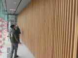 Ściany drewniane. Realizacja w Kauflandzie we Wrocławiu. Zdjęcie nr: 32